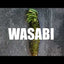 JAPANESE FRESH WATER WASABI
